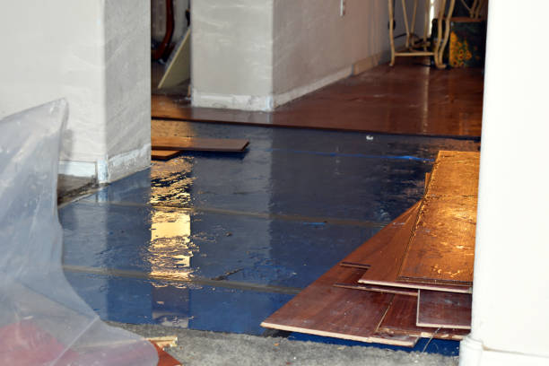 Professional Basement Flood Cleanup technician working in Coeur D Alene, ID